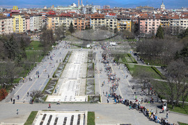 „Гората БГ“ - дръвчета