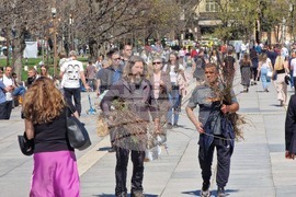 „Гората БГ“ - дръвчета