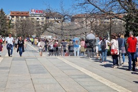 „Гората БГ“ - дръвчета