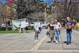 „Гората БГ“ - дръвчета