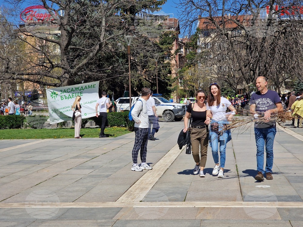 „Гората БГ“ - дръвчета