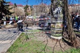 „Гората БГ“ - дръвчета