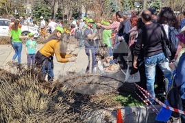 „Гората БГ“ - дръвчета