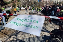 „Гората БГ“ - дръвчета