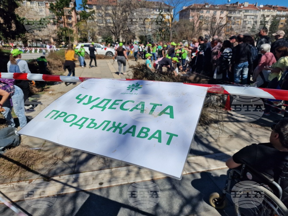 „Гората БГ“ - дръвчета