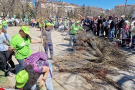 „Гората БГ“ - дръвчета