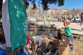 „Гората БГ“ - дръвчета