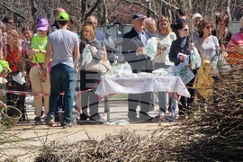 „Гората БГ“ - дръвчета