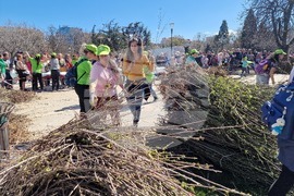 „Гората БГ“ - дръвчета