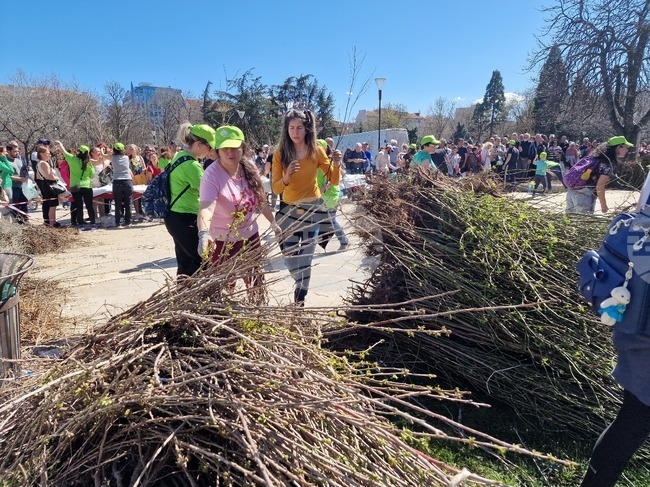 „Гората БГ“ - дръвчета