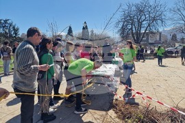 „Гората БГ“ - дръвчета