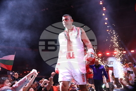 Бокс - гала вечер - Тервел Пулев-Роли Ламбърт