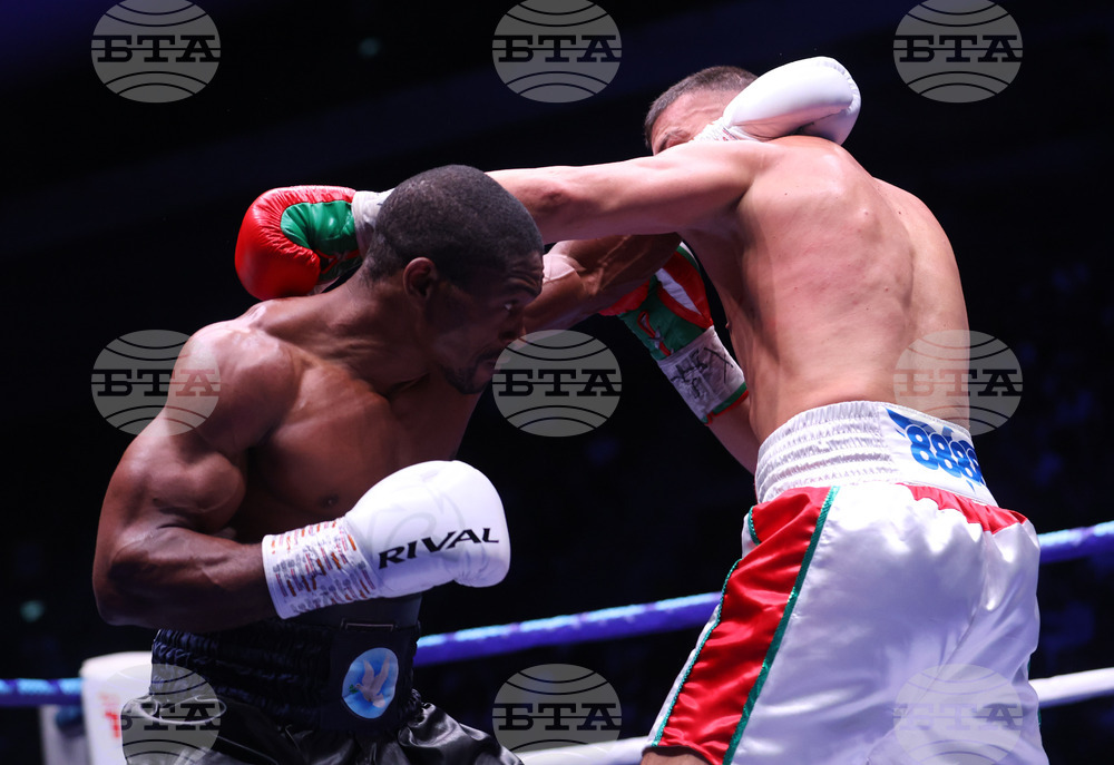 Бокс - гала вечер - Тервел Пулев-Роли Ламбърт