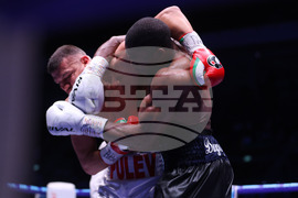 Бокс - гала вечер - Тервел Пулев-Роли Ламбърт