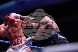 Бокс - гала вечер - Тервел Пулев-Роли Ламбърт