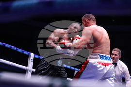 Бокс - гала вечер - Тервел Пулев-Роли Ламбърт