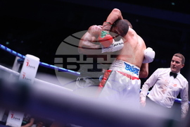 Бокс - гала вечер - Тервел Пулев-Роли Ламбърт