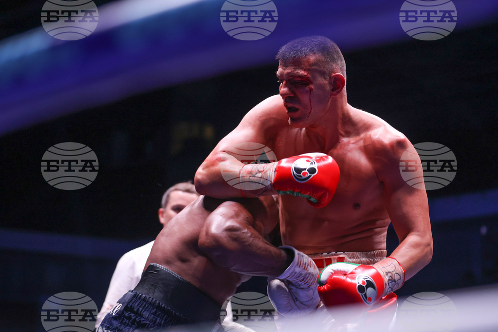 Бокс - гала вечер - Тервел Пулев-Роли Ламбърт