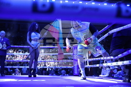 „Арена София“ - бокс - гала вечер