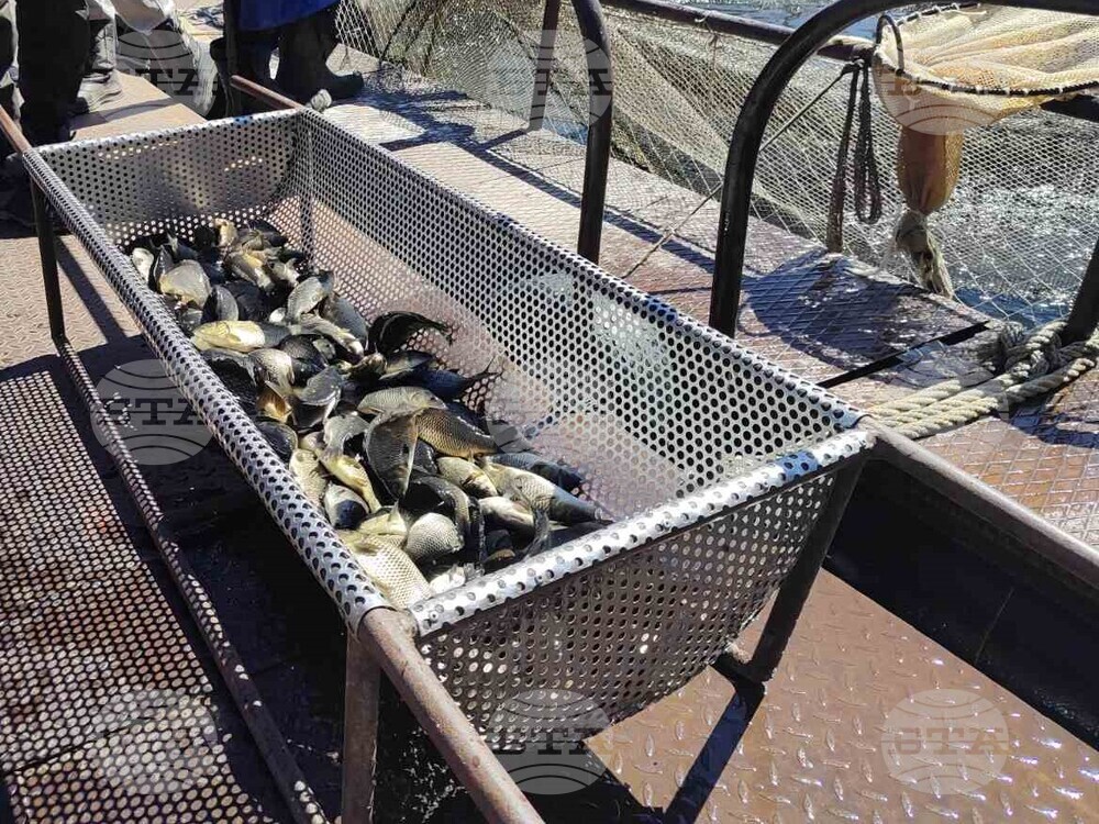 Кърджали - язовир - зарибяване