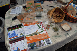 Бургас - фондация "Биоразнообразие" - панаир на солта