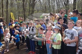 Разград - ориентиране - състезание