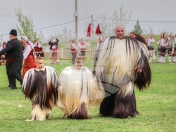 Снимка: Община Банско