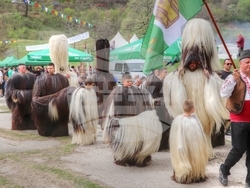 Снимка: Община Банско