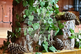 Сливен - Седмица на гората - откриване