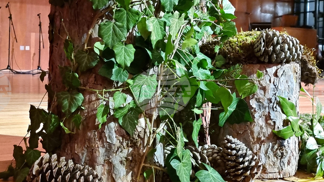 Горските стопанства на югоизточното предприятие организират залесяване и образователни събития за Седмицата на гората