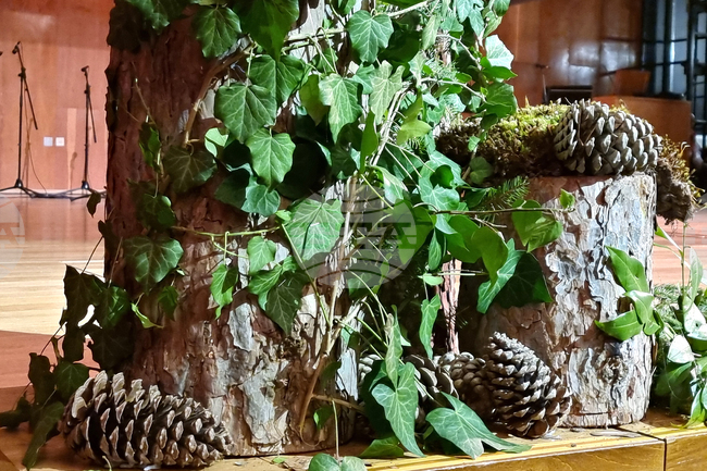 Горските стопанства на югоизточното предприятие организират залесяване и образователни събития за Седмицата на гората