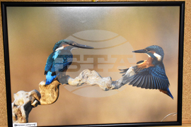 Хасково - фотоизложба - откриване