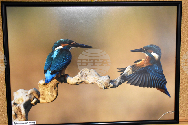 Хасково - фотоизложба - откриване