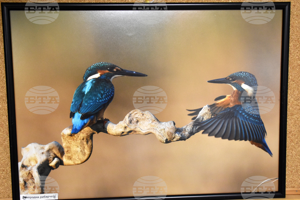 Хасково - фотоизложба - откриване