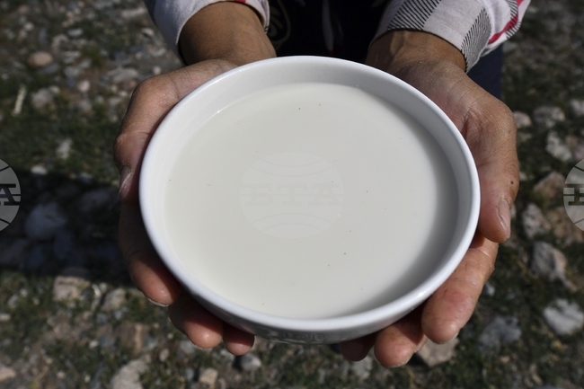 Пълномасленото мляко и млечната мазнина не оказват съществено влияние върху липидния метаболизъм, показва изследване