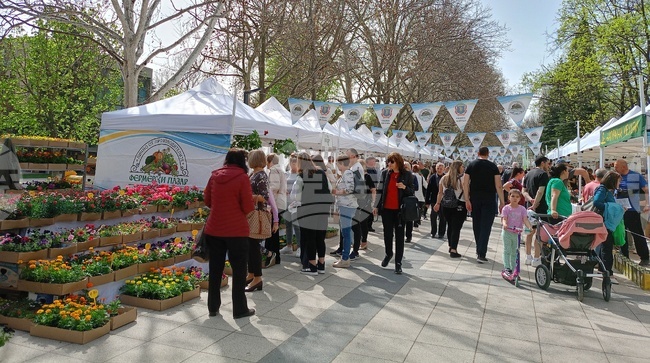 Великденски фермерски пазар ще се проведе в Монтана на 14 април