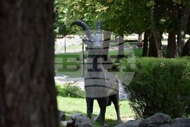 Разлог – градски парк