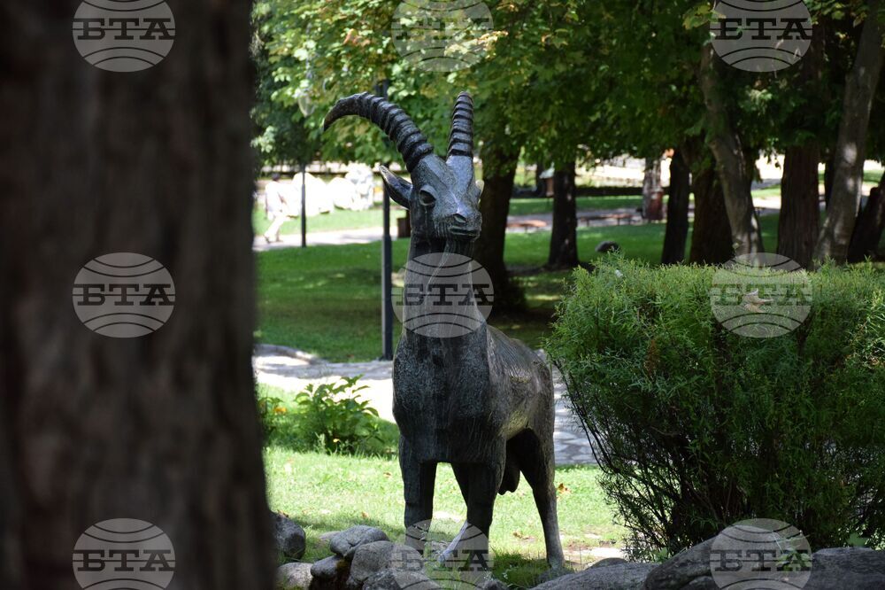 Разлог – градски парк