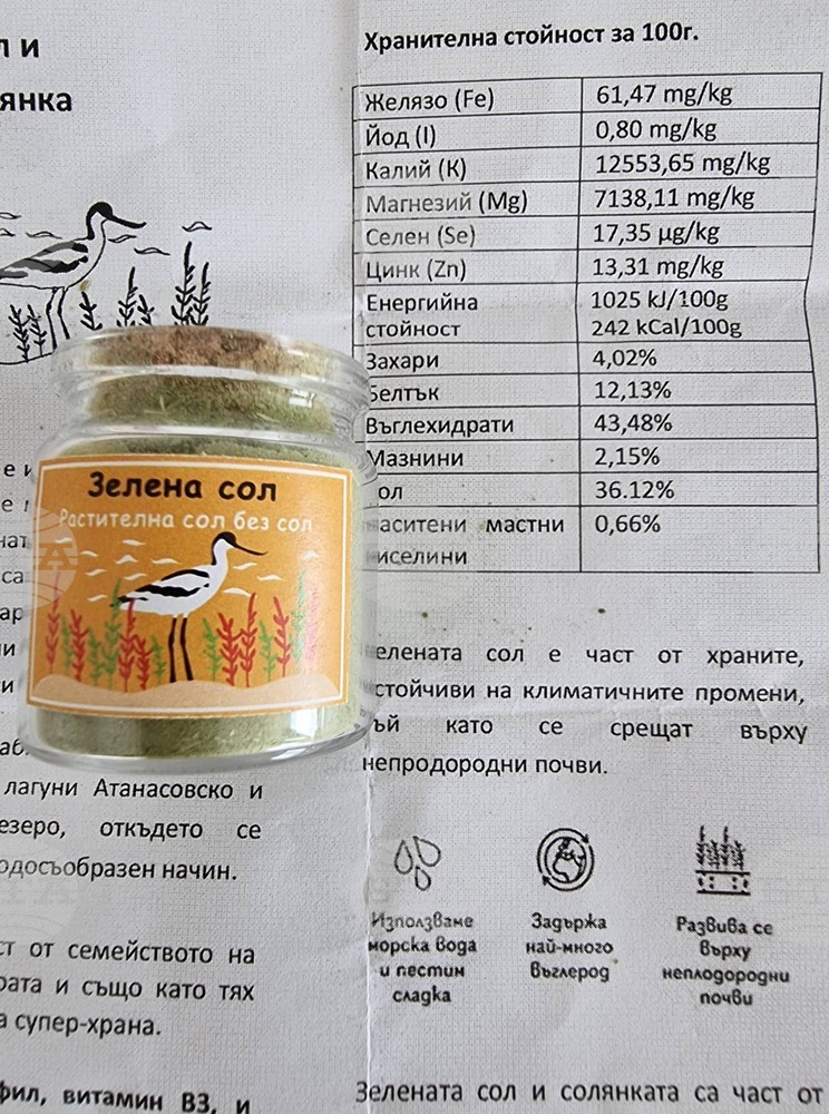 Healthy Green "Saltless" Salt Developed in Burgas