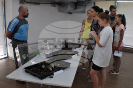 Бургас - изложба на гигантски охлюви