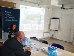 Снимка: Областен информационен център Видин