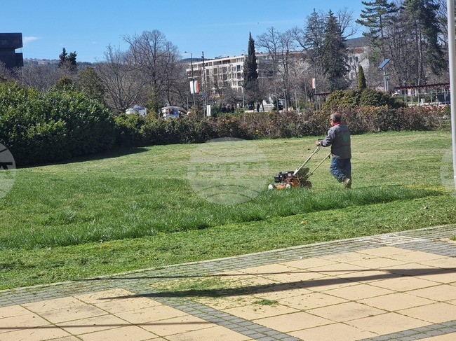 Община Смолян започва обработка на тревните площи срещу кърлежи и бълхи