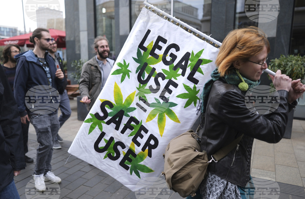 Консумацията на канабис в Германия продължава да расте, сочи проучване