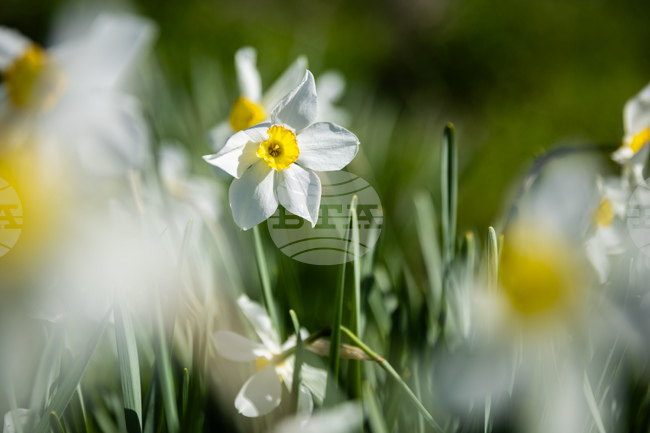 Прогноза за времето