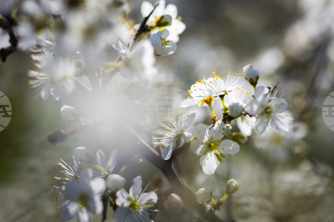 Прогноза за времето 