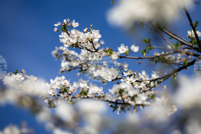Прогноза за времето