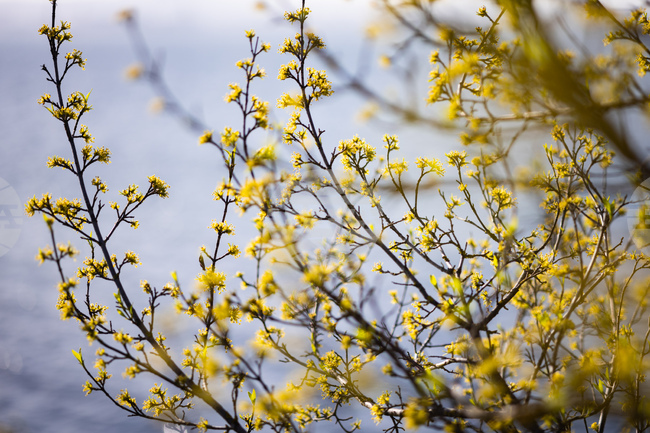 Прогноза за времето 
