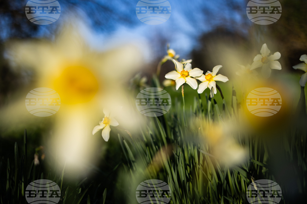 Прогноза за времето 