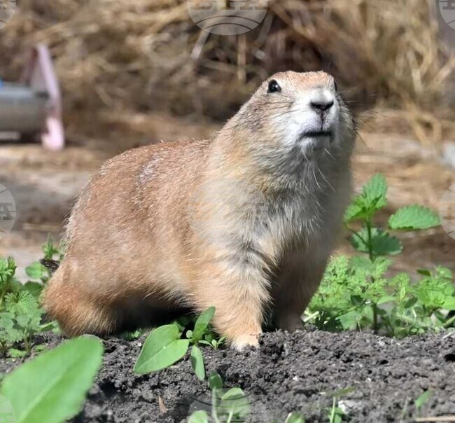 The Weather on February 28