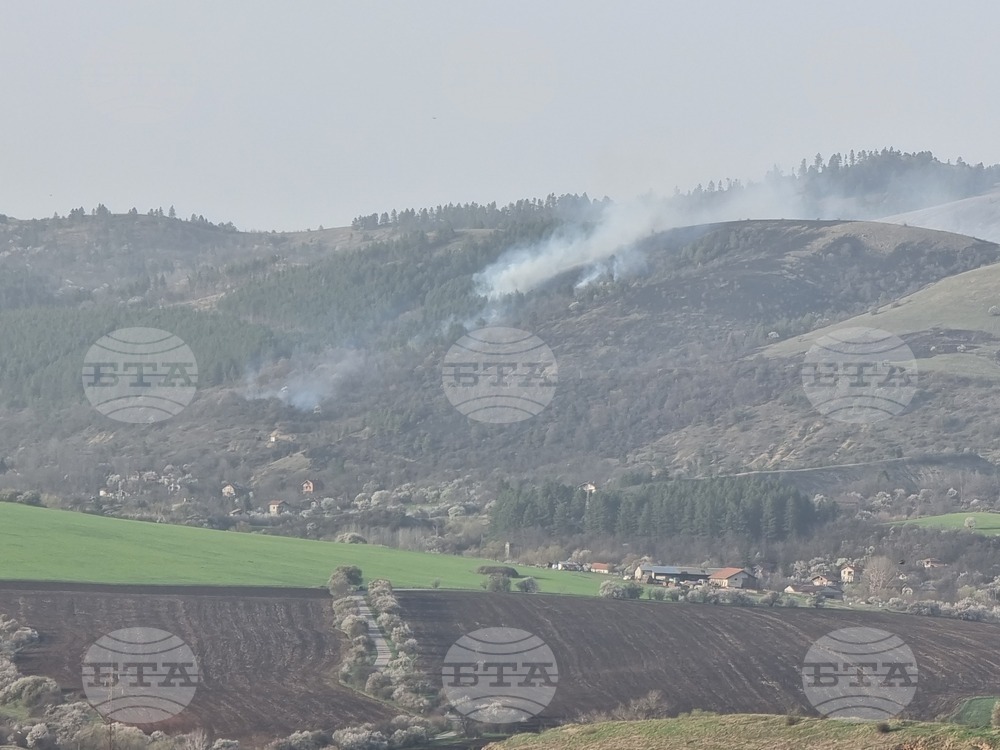 Седем пожара са станали през вчерашния ден в сухи треви и отпадъци на територията на региона, съобщиха от полицията в Перник